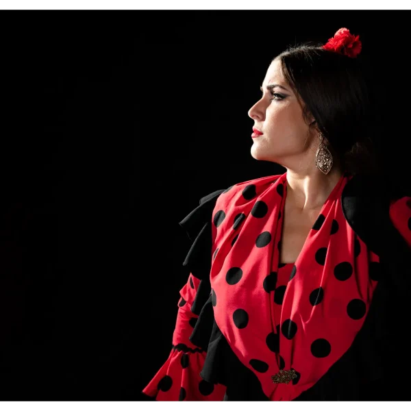 Espectáculos de Flamenco en Sevilla