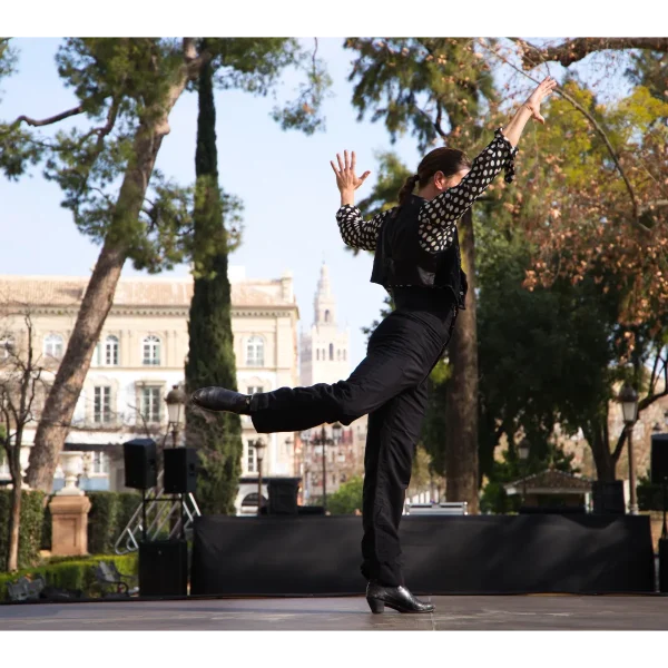 Mejor Flamenco en Sevilla