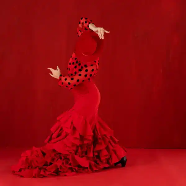 show de flamenco en sevilla