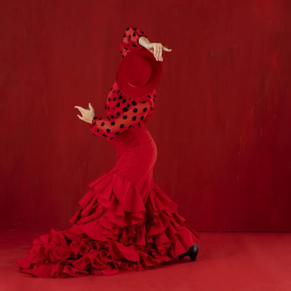 Principales bailaores flamencos