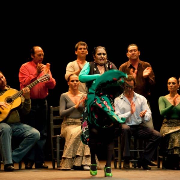 elementos del flamenco español