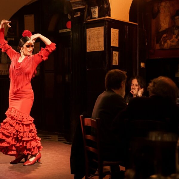 qué es el flamenco nuevo