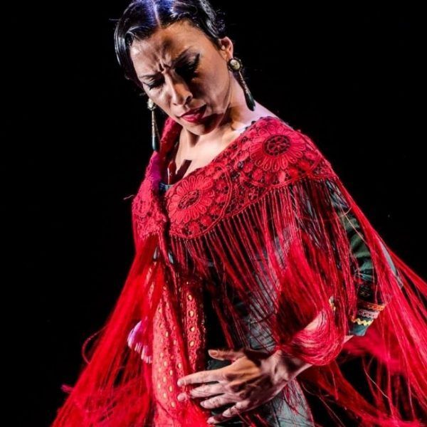 Sevilla y flamenco bailaora tablao flamenco
