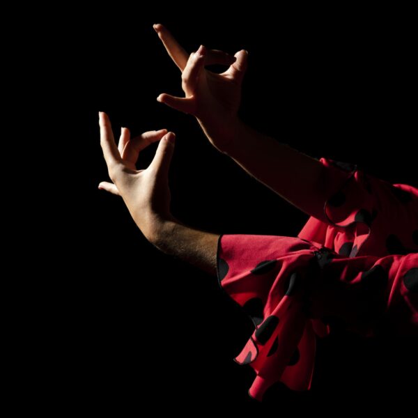 flamenco macarena sevilla​