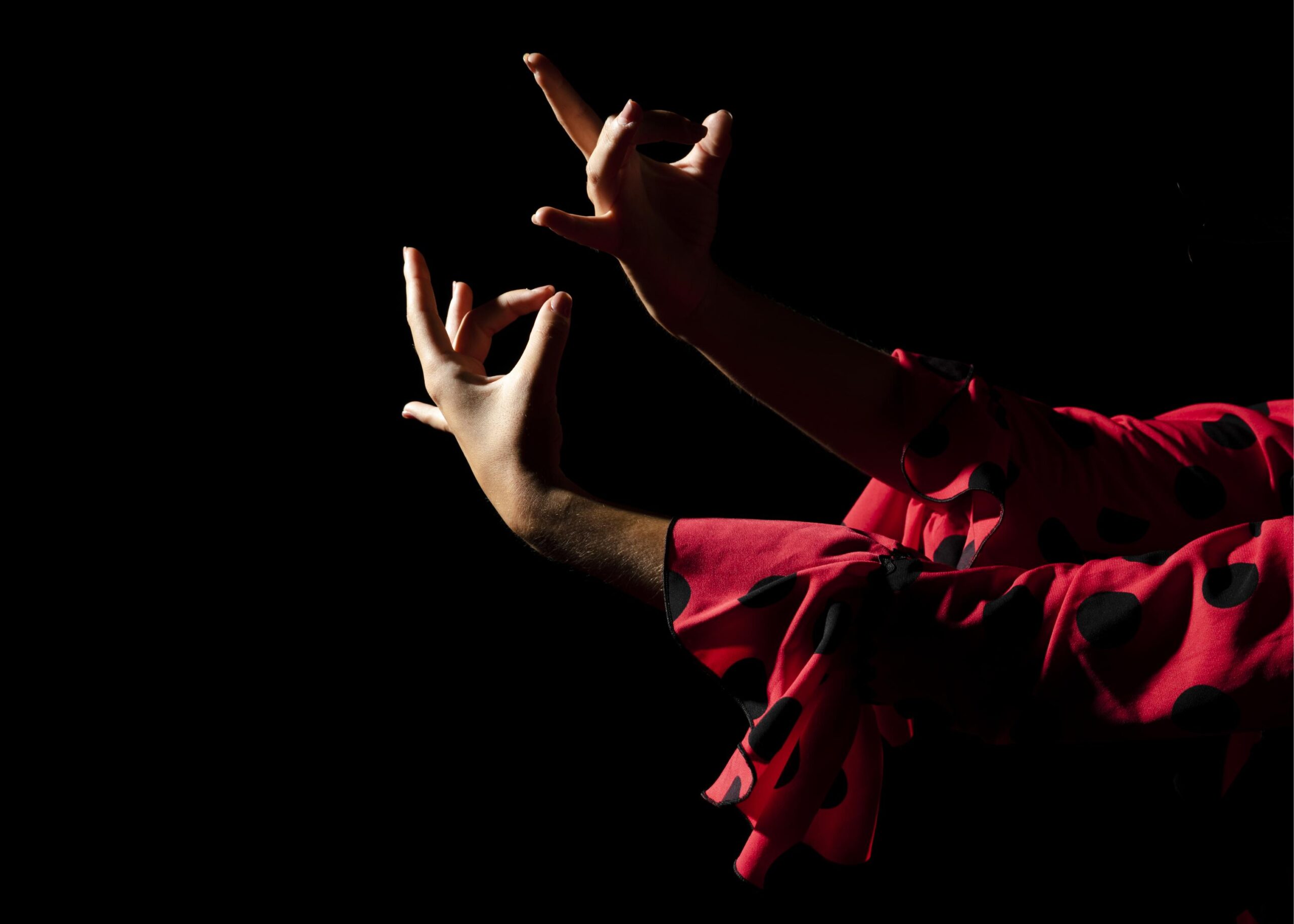 flamenco macarena sevilla​