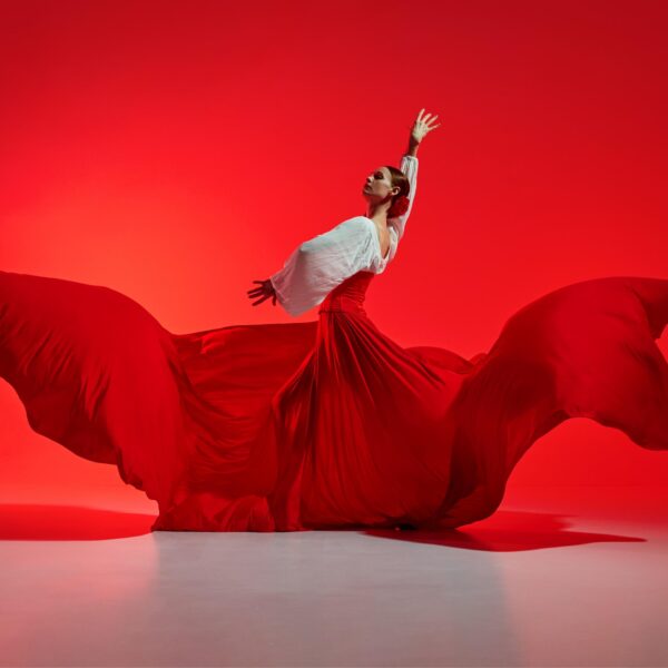 entrada flamenco