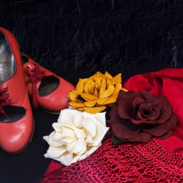 zapatos de flamenco